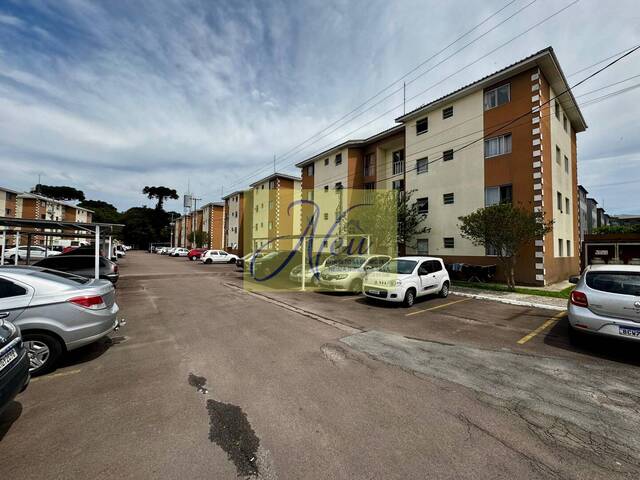 Apartamento para Venda em São José dos Pinhais - 3
