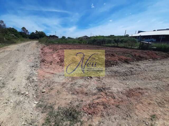 Terreno para Venda em São José dos Pinhais - 2