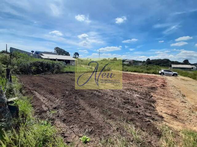 Terreno para Venda em São José dos Pinhais - 3