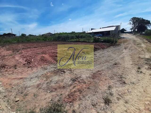 Terreno para Venda em São José dos Pinhais - 4