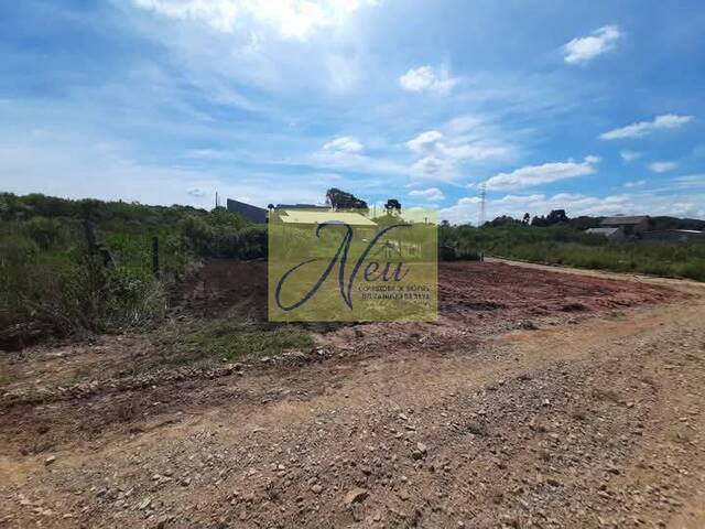 Terreno para Venda em São José dos Pinhais - 5