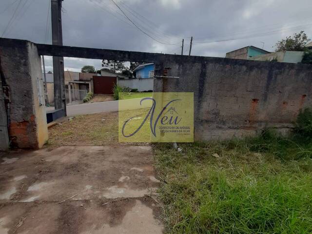 Área para Venda em São José dos Pinhais - 2