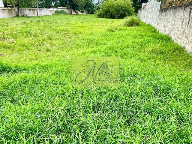 Terreno para Venda em São José dos Pinhais - 5