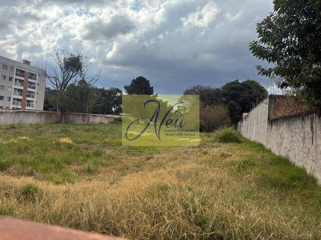 Terreno para Venda em São José dos Pinhais - 2