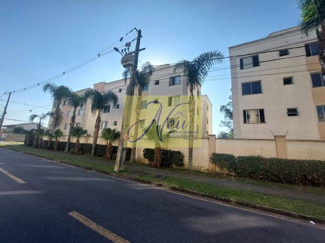 #AP2362 - Apartamento para Venda em São José dos Pinhais - PR