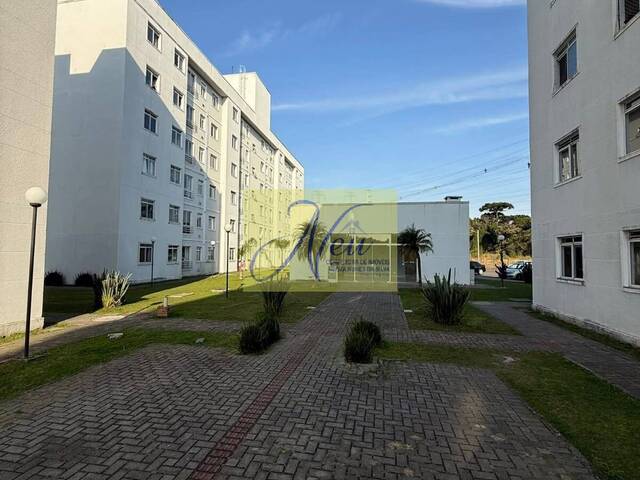 #AP2366 - Apartamento para Venda em São José dos Pinhais - PR