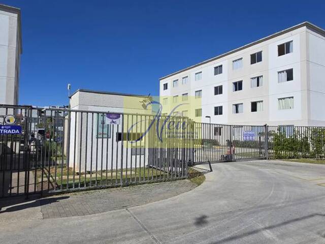 #AP 2392 - Apartamento para Venda em São José dos Pinhais - PR