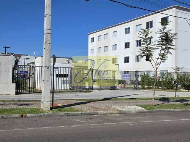 #AP 2392 - Apartamento para Venda em São José dos Pinhais - PR