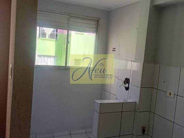 Apartamento para Venda em São José dos Pinhais - 4