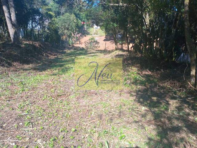 Área para Venda em São José dos Pinhais - 3