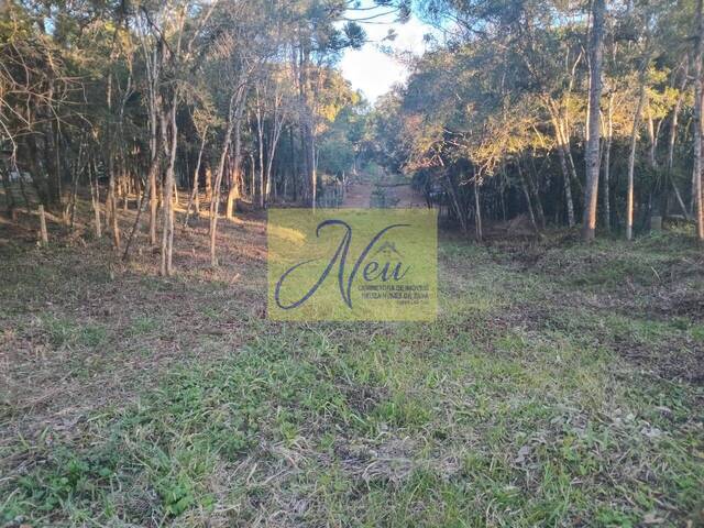 Área para Venda em São José dos Pinhais - 4