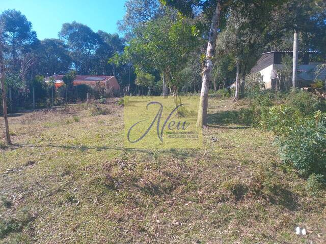 Área para Venda em São José dos Pinhais - 2