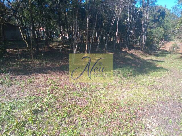 Área para Venda em São José dos Pinhais - 5
