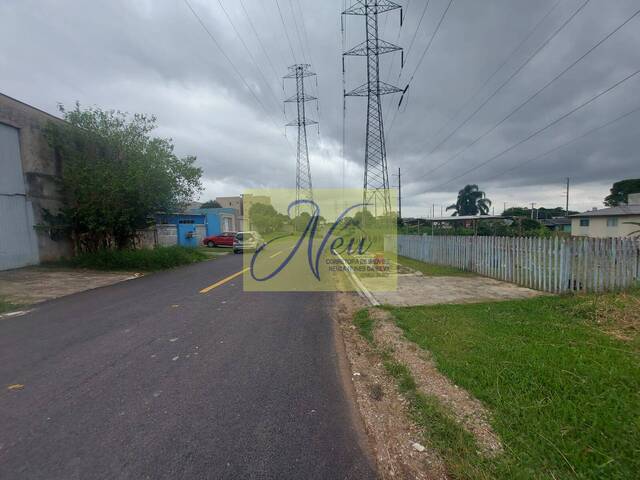 Área para Venda em São José dos Pinhais - 4