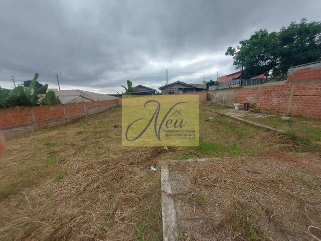 Área para Venda em São José dos Pinhais - 5