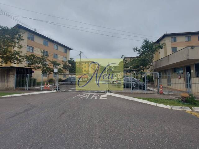 #AP2442 - Apartamento para Venda em São José dos Pinhais - PR