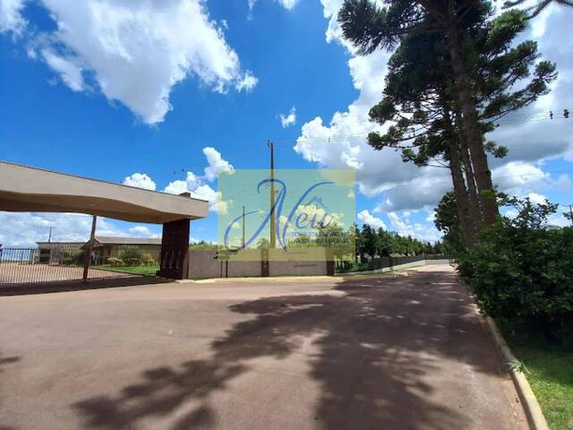 Terreno para Venda em Carambeí - 3