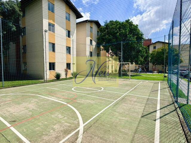 Apartamento para Venda em São José dos Pinhais - 5