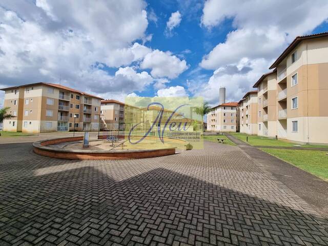 Apartamento para Venda em Ponta Grossa - 3