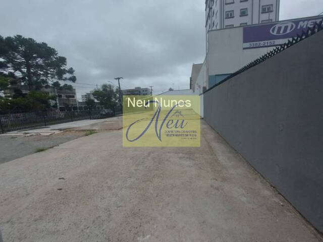Terreno para Venda em São José dos Pinhais - 2