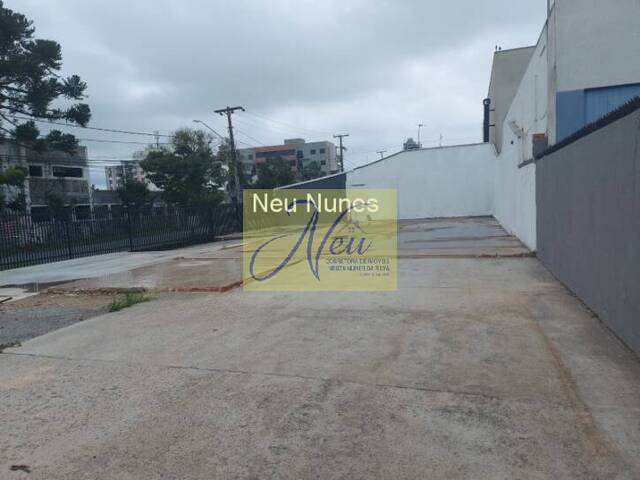 Terreno para Venda em São José dos Pinhais - 4